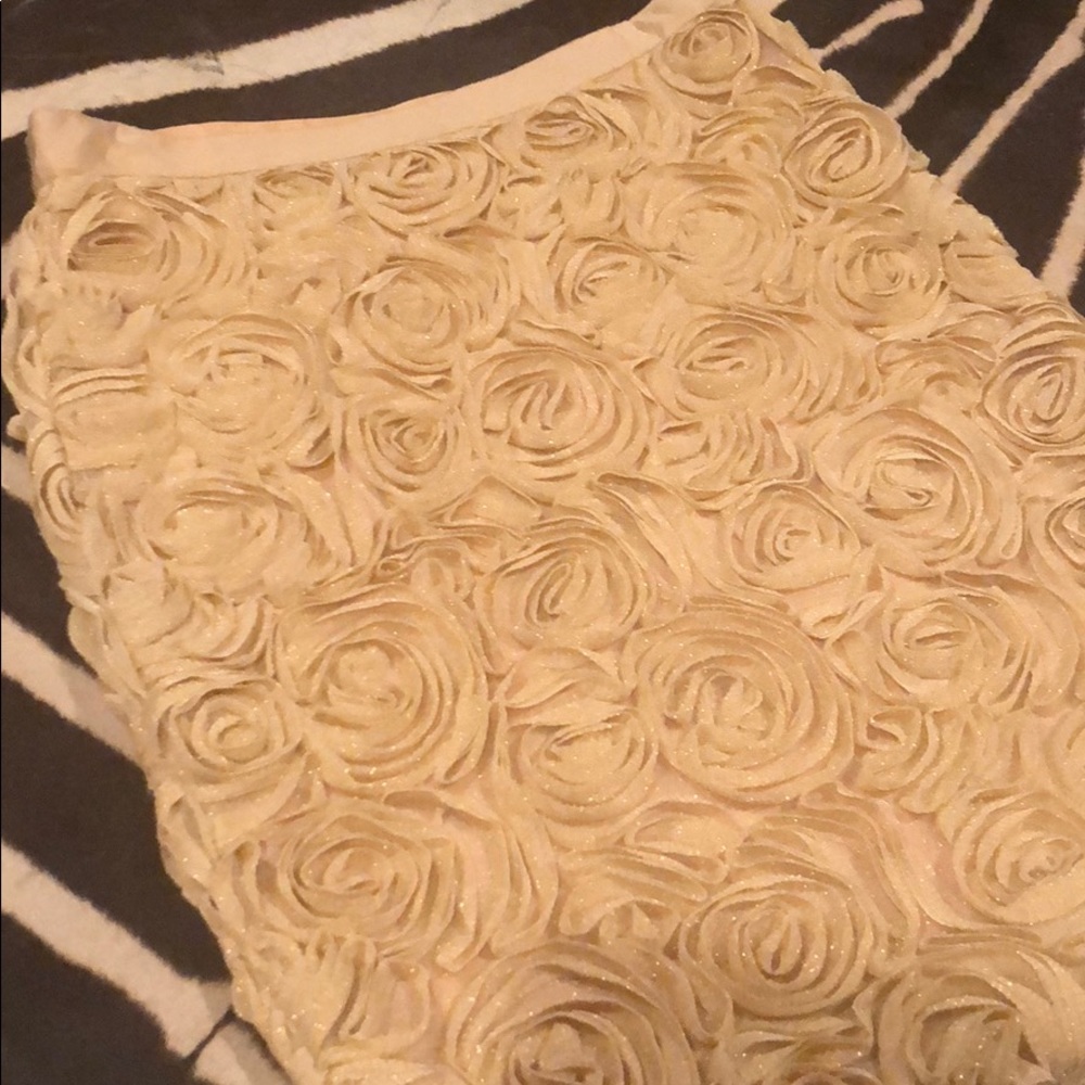 NWT Banana Republic Rose Detail Gold Skirt